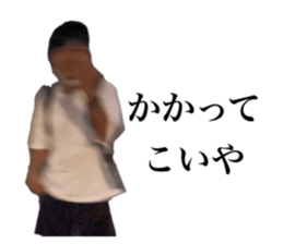 526294036