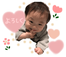 526300423