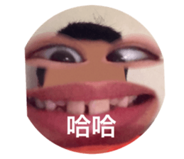 526306884