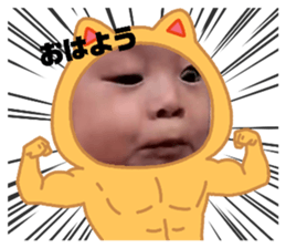 526312037