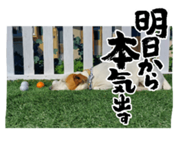 526314097