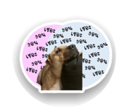 526318183