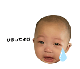 526325551