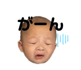 526325554