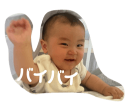 526360205