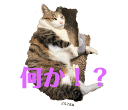 526369318