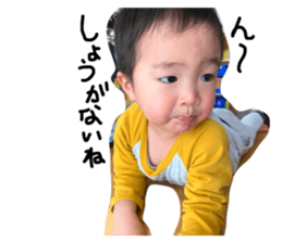 526374501