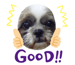526384488