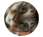 526397800