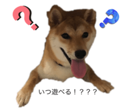 526401240