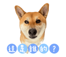 526436660