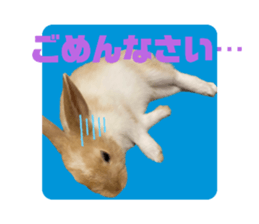 526532249