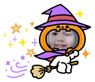 526534003