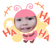 526534006