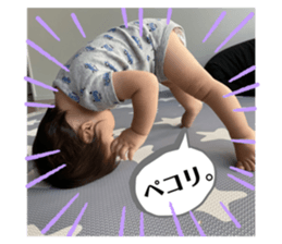 526534307