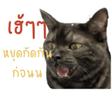 526545319