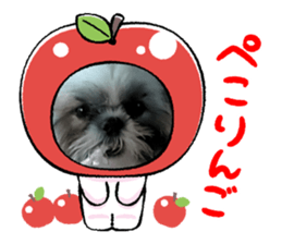 526560172