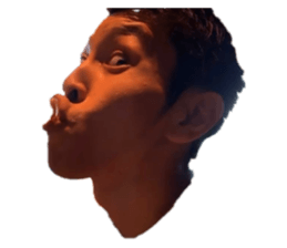 526568520