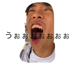 526576447