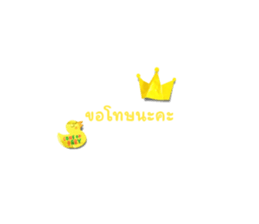 526590216
