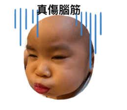 526602792