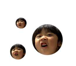 526626364