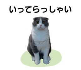 526631207