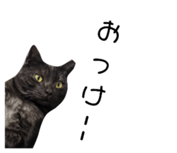 526676057