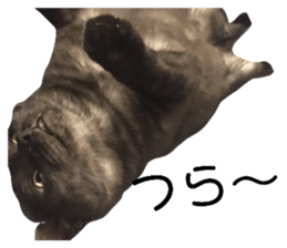 526676071