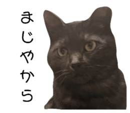 526676072
