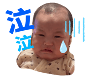 526689131