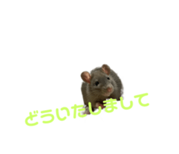526701422