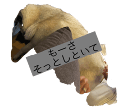 526745901