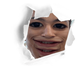 526794337