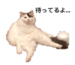 526794703