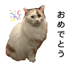 526794713