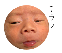526802224