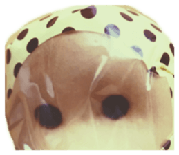 526804960