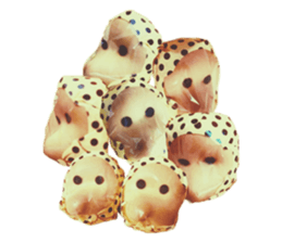 526804961