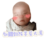526806951