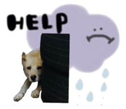 526807587