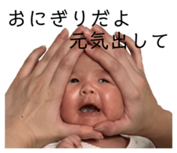 526813311