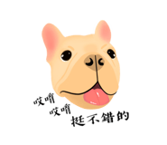 526825707