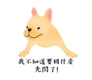 526825724