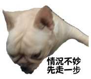 526832979