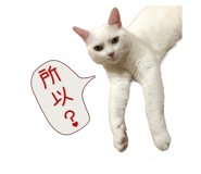 526836119