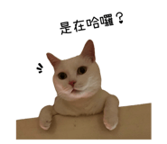 526836122