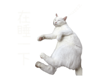 526836123