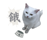 526836129