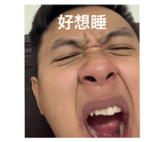 526848348